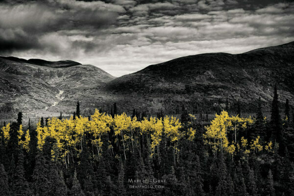 color of the year 2021 illuminating yellow and ultimate gray