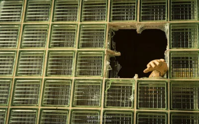 Facebook Jail for Copyright Infringement