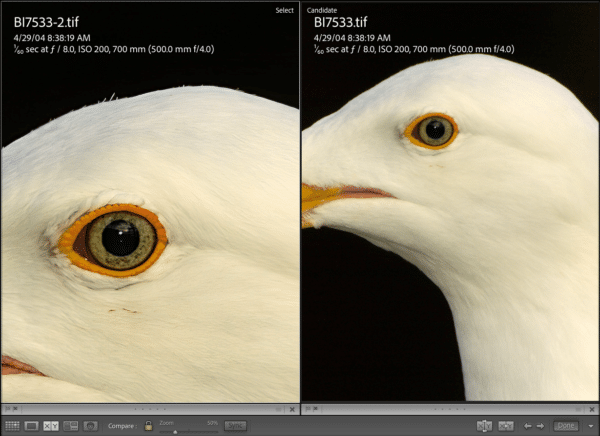 image upsizing with Gigapixel AI