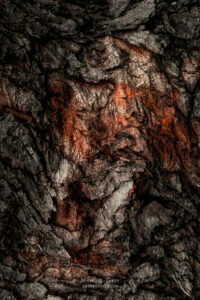 lava flow