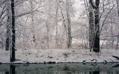 Sticky Snow