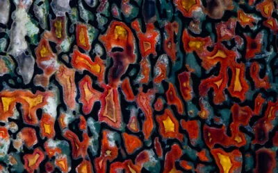 Agatized Fossil Dinosaur Bone