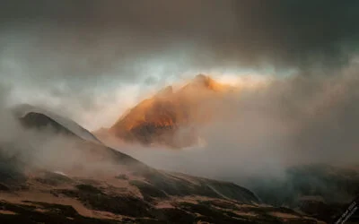 Cloud Backup