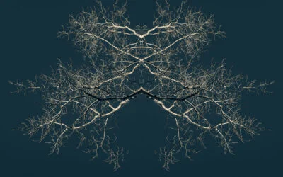 Seeking Pathways to Light