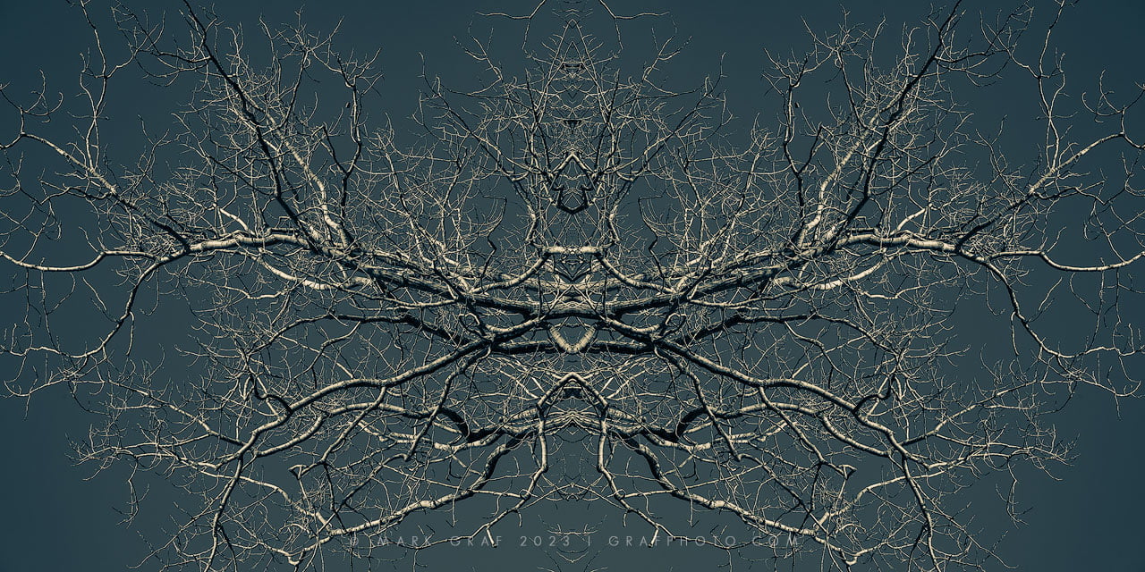 seeking light