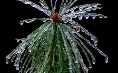 Michigan Ice Storm