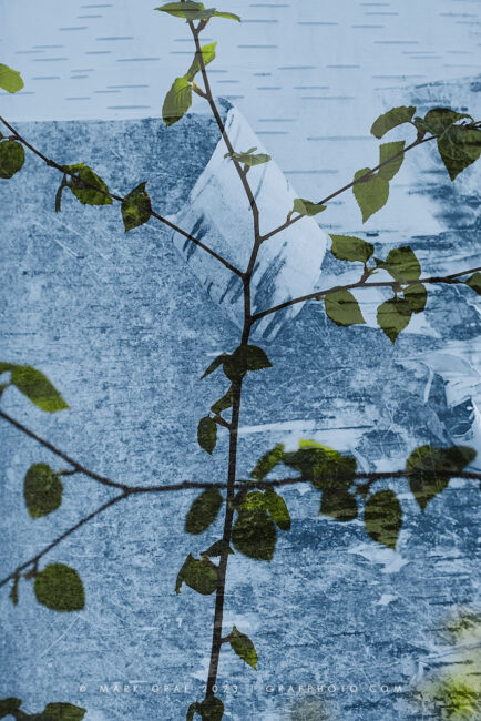 double exposure nature