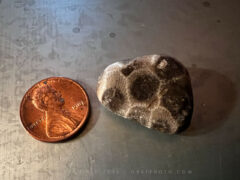 Petoskey stone from Lake Huron