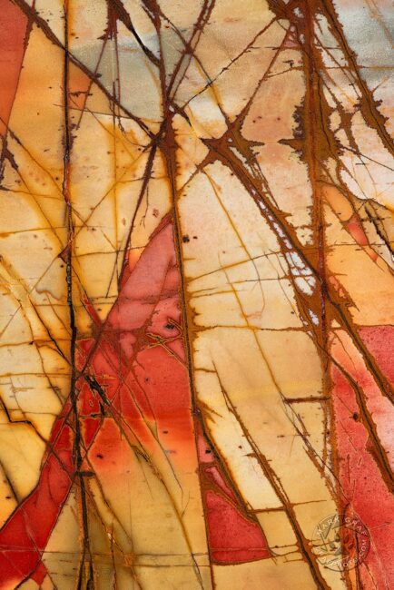Cherry Creek Jasper