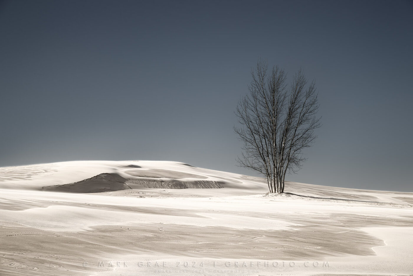 Michigan dunescape