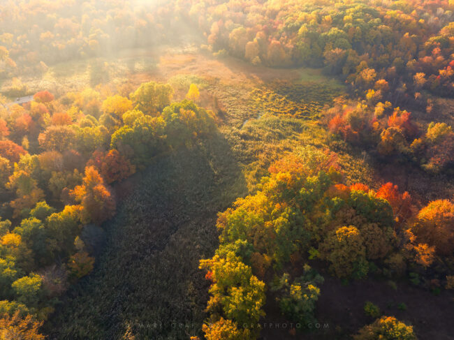 Plum Brook (Sterling Heights) nature preserve