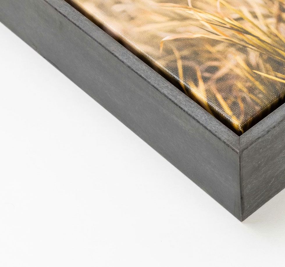 floating frame